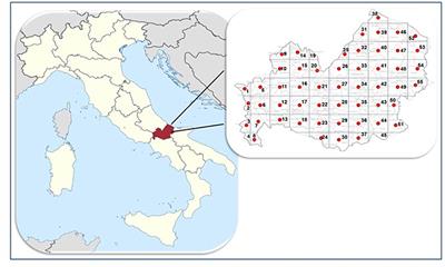 Frontiers | Simultaneous Detection of Parasitic Vector Borne Diseases